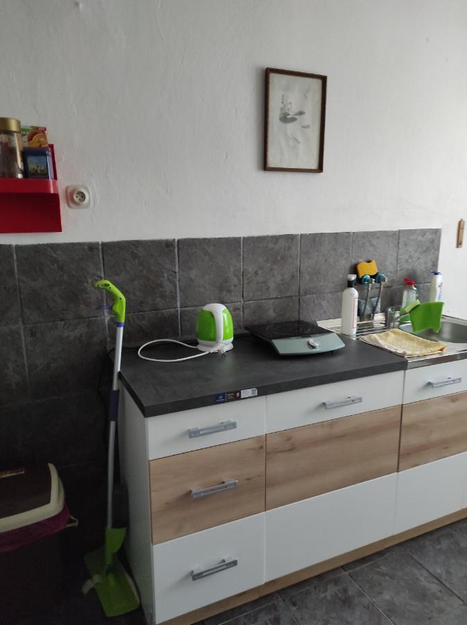 U Lesa Appartement Bohutín Buitenkant foto